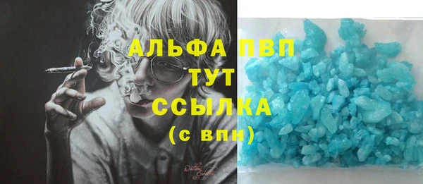 шишки Корсаков