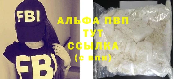 шишки Корсаков