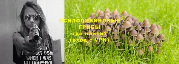 гашик Протвино