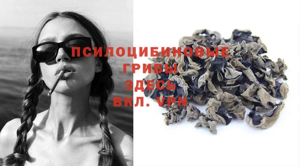 гашик Протвино