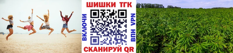 Шишки марихуана план  Лаишево 